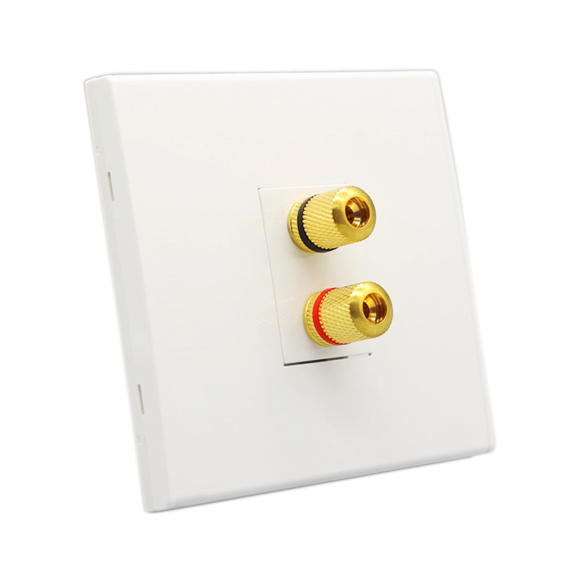 Audio Speaker Wall Panel Termi - Speaker Terminal recension och pris